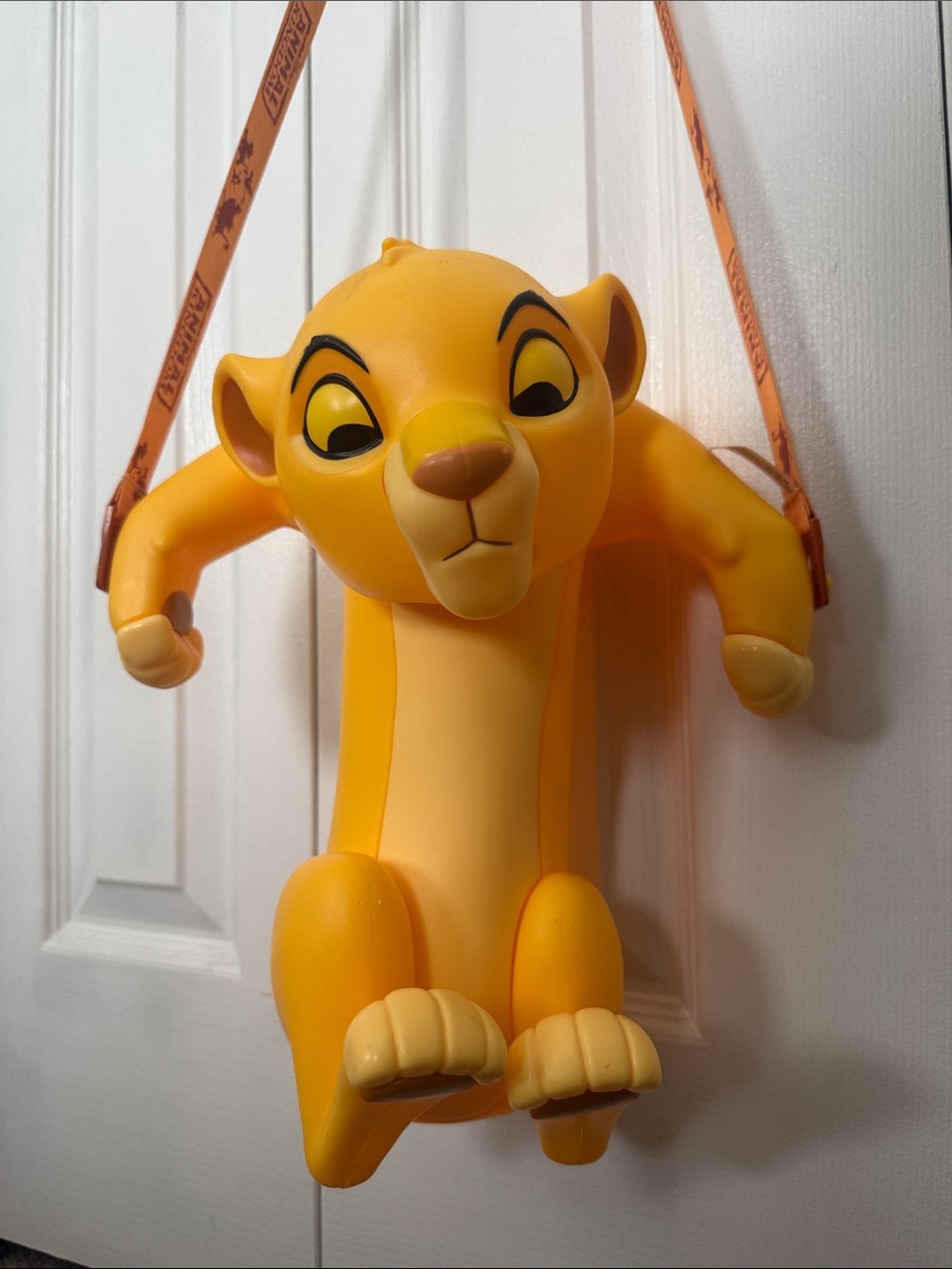 Disney Animal Kingdom 25th Anniversary The Lion King Simba popcorn bucket
